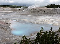 Yellowstone Norris Geyser (121).JPG
